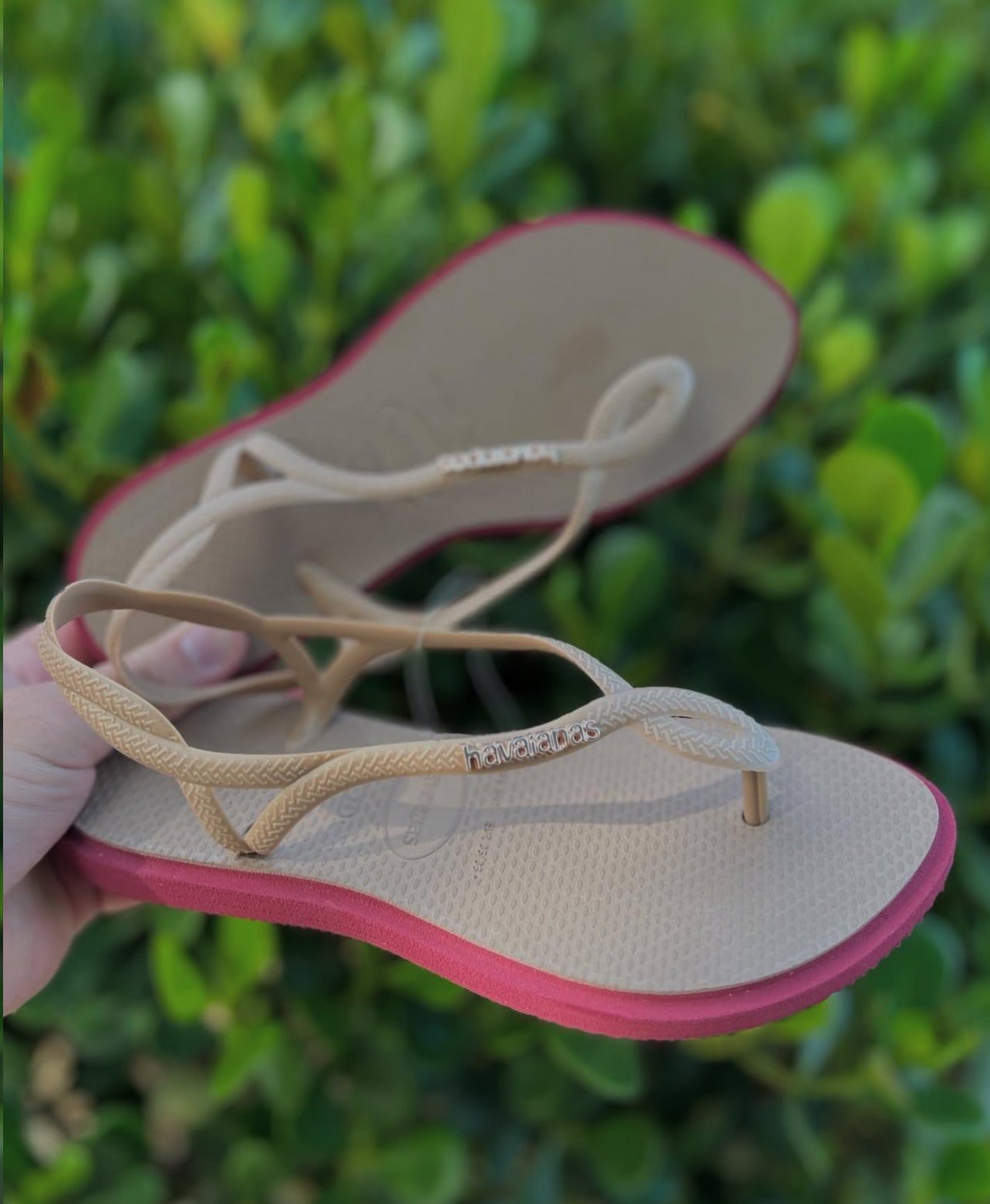 Havaianas Luna Rosa Crocus