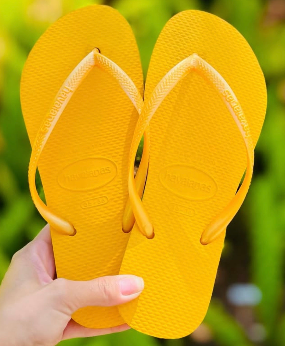 Havaianas Slim Amarelo 2