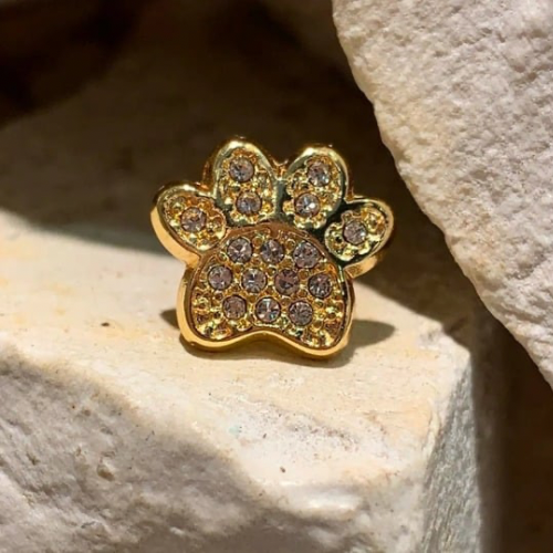Bijou patte