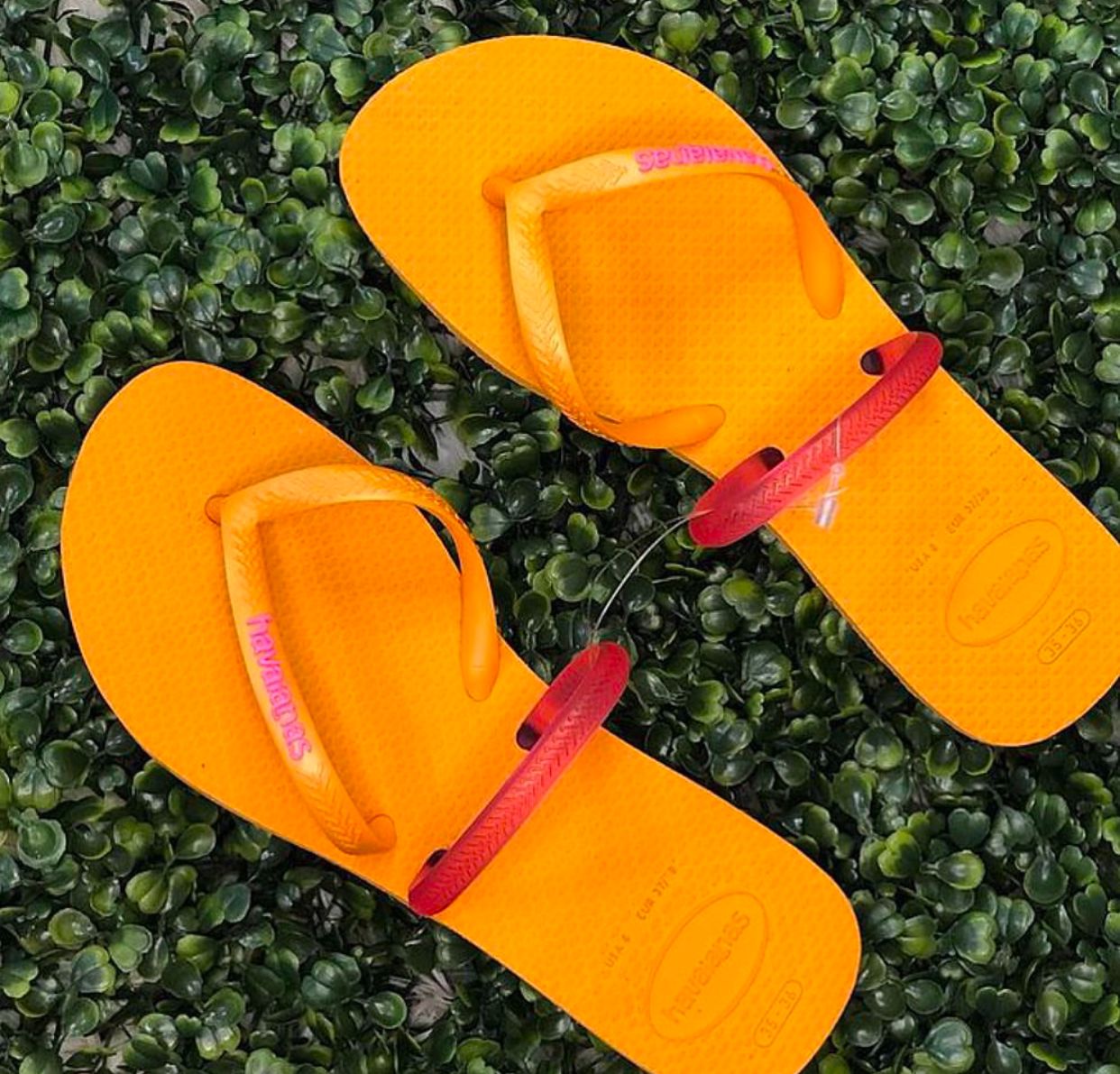 Havaianas Flat Duo Yellow
