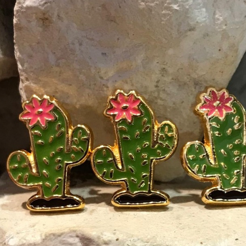 Bijou Cactus