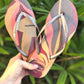 Havaianas Slim Palette Brown