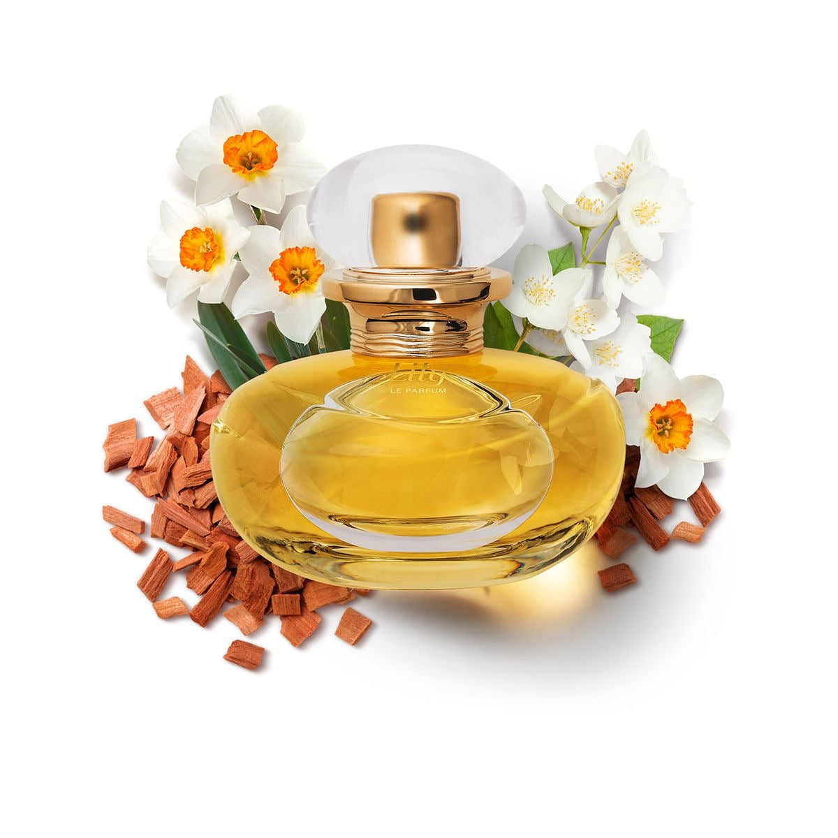 PRÉ-ORDER | Lily le Parfum Intense
