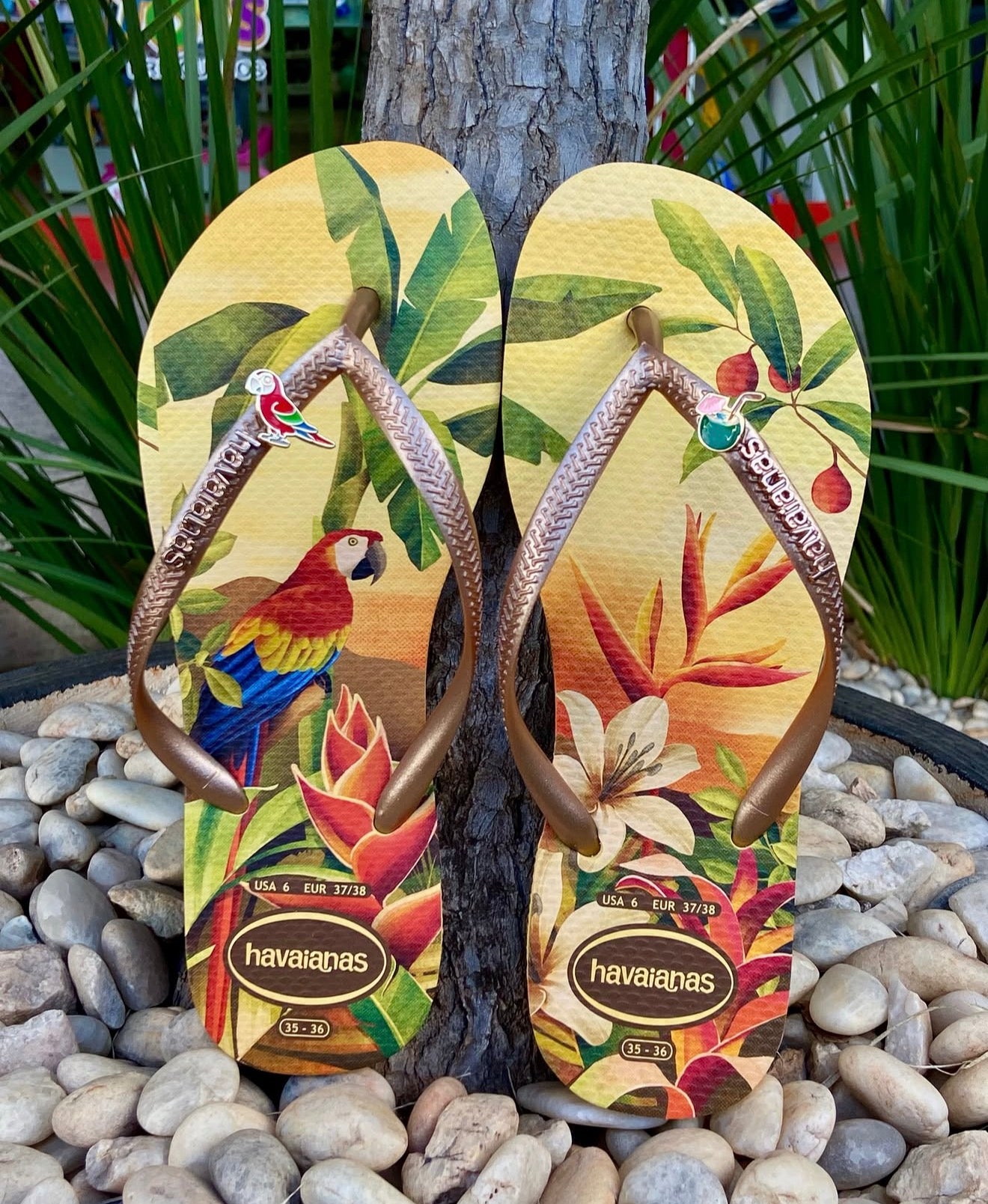 Havaianas Tropical gold