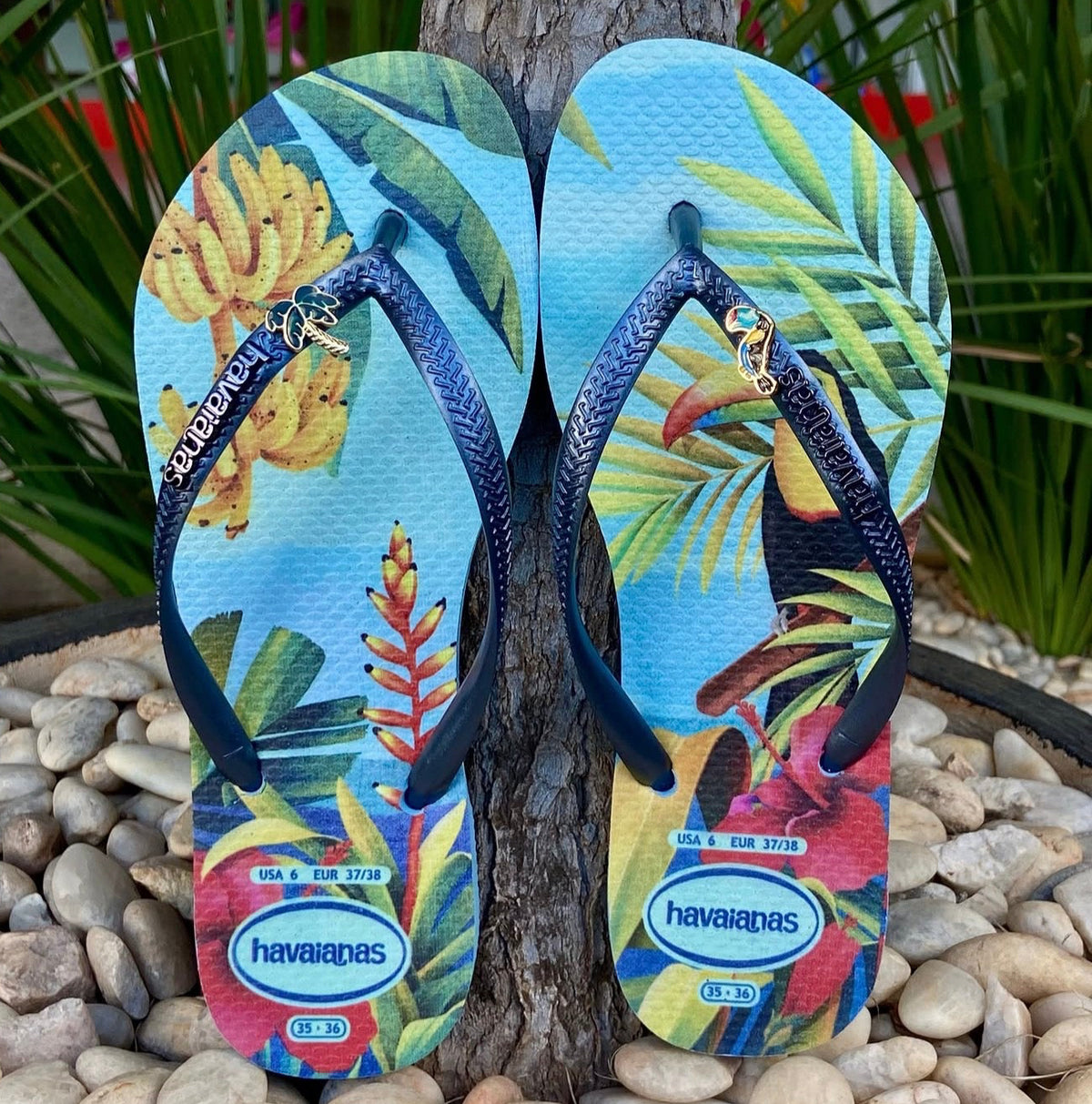 Havaianas Tropical azul