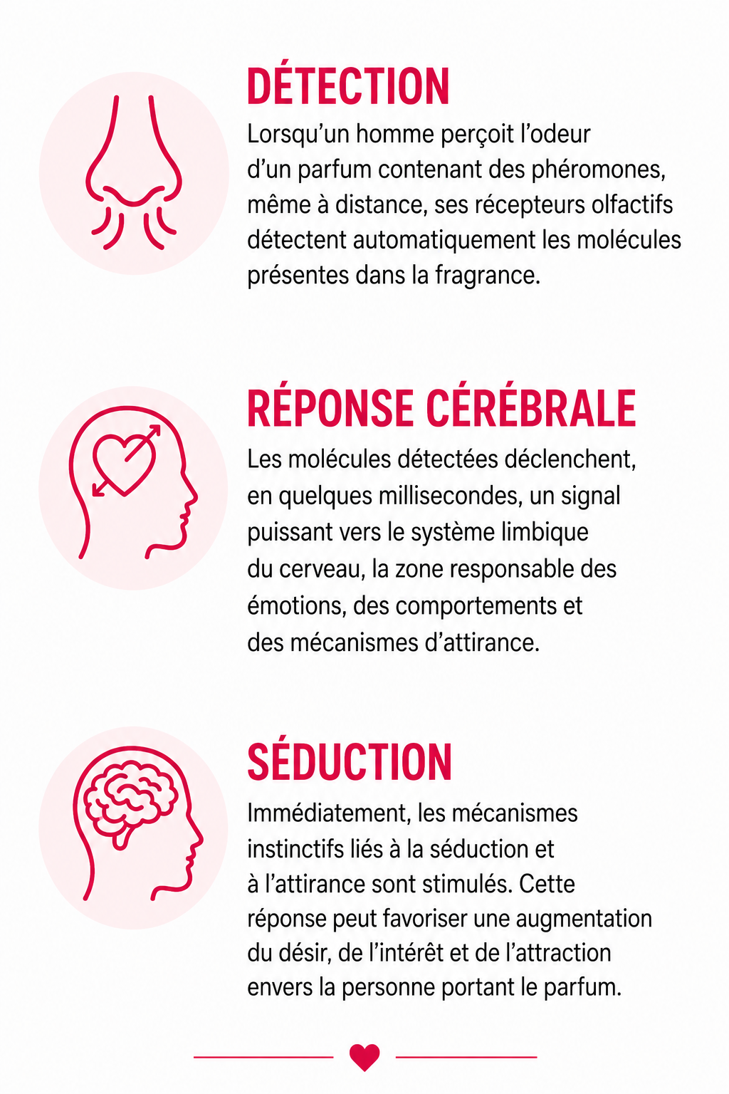 Attracione phéromone